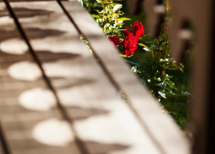 Σαλέ Yolo - Retreat In Steam