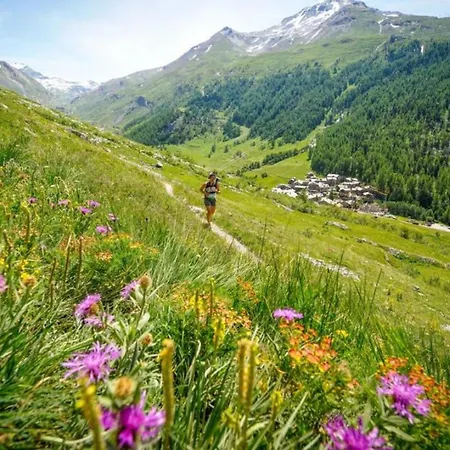 Yolo - Retreat In Steam Шале