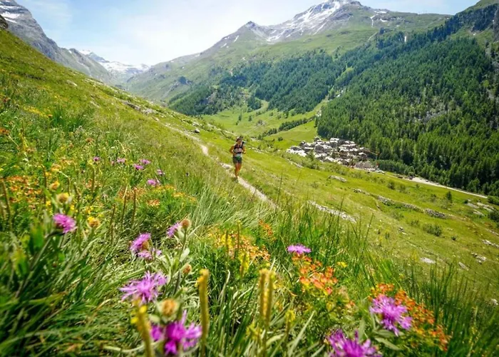 Yolo - Retreat In Steam Dağ evi