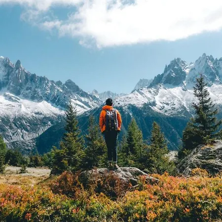 Yolo - Retreat In Steam Chalet Chamonix