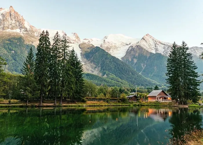 Yolo - Retreat In Steam